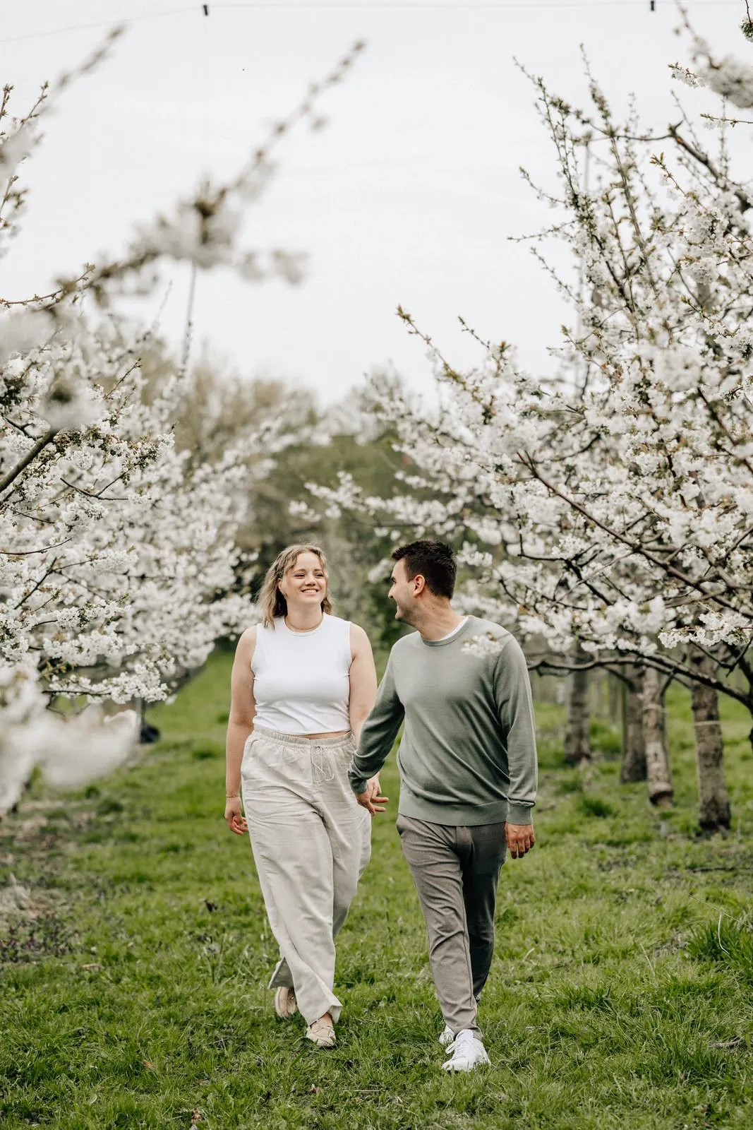 Paar spaziert Hand in Hand durch die Kirschblüte im Alten Land